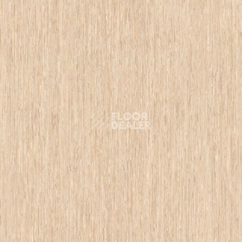 Линолеум Tarkett iq Optima Light Gold Beige 0247 фото 1 | FLOORDEALER